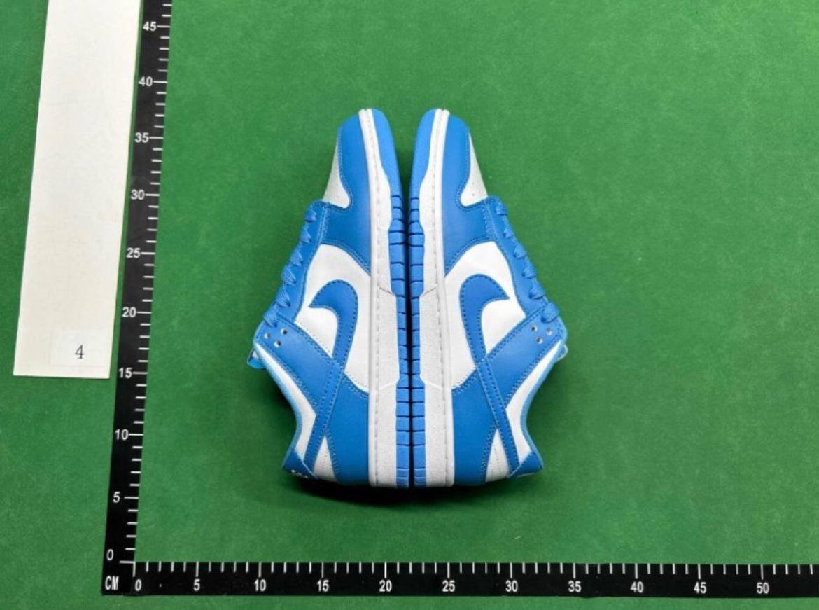 Nike Dunk Sneakers