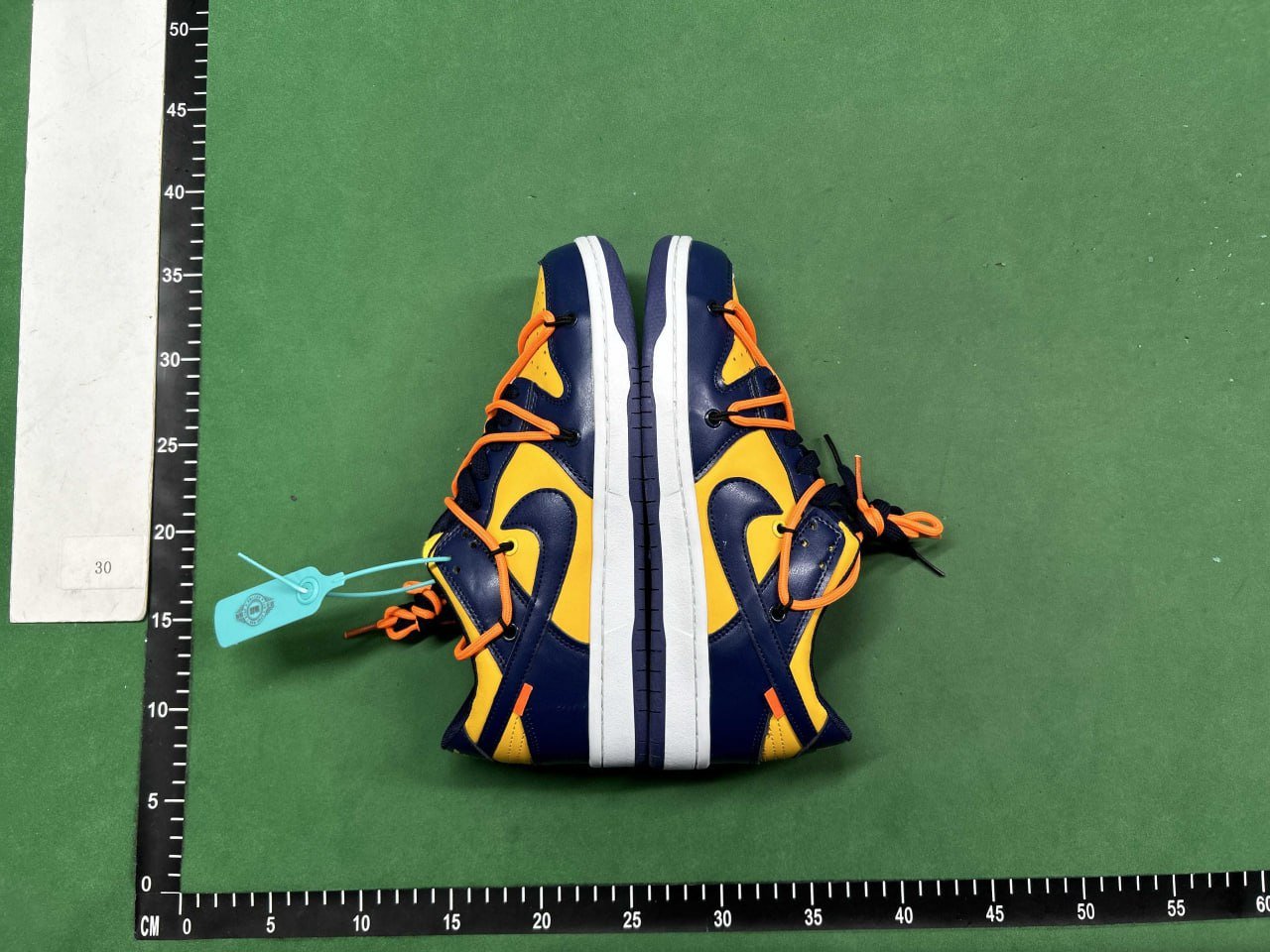 Nike Dunk Sneakers