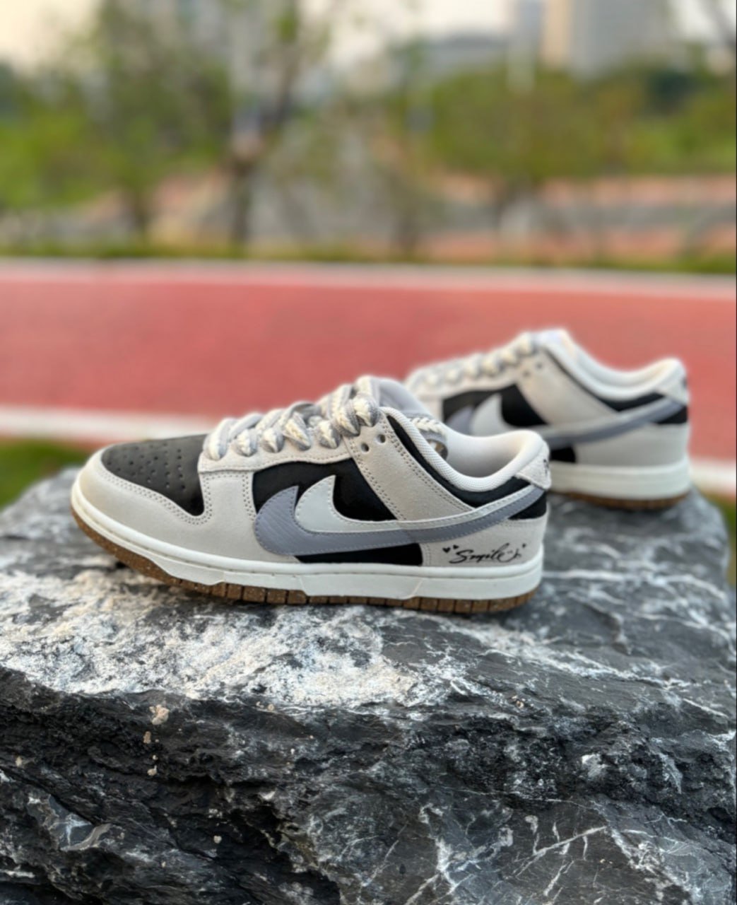 Nike Dunk Sneakers