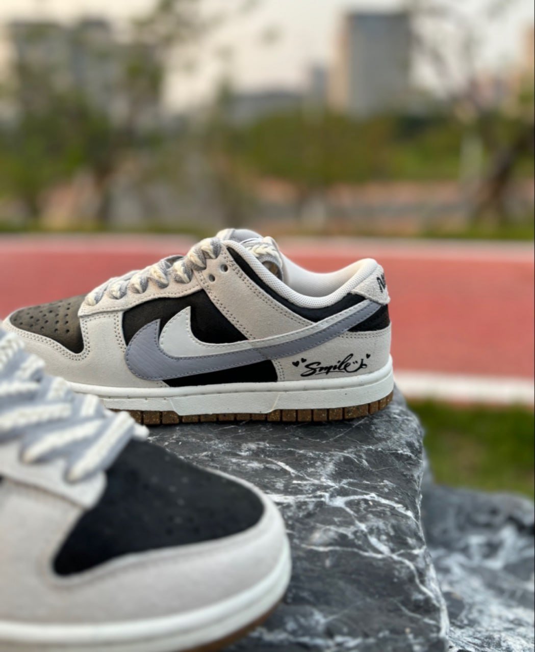 Nike Dunk Sneakers