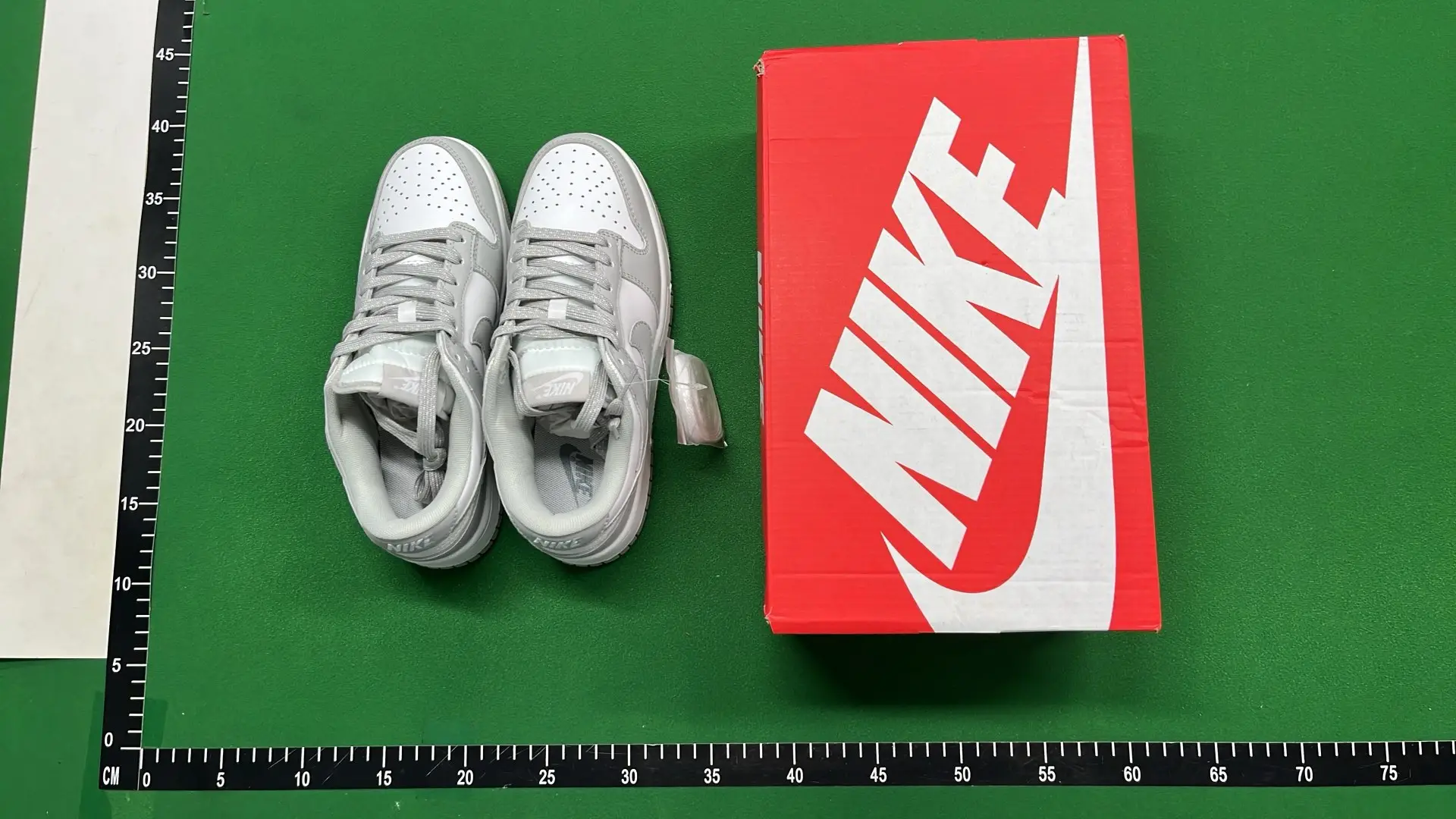 Nike Dunk Sneakers