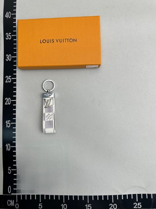 LV sneakers