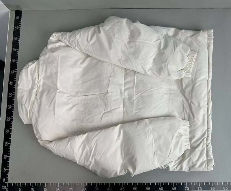 Balenciaga Puffer