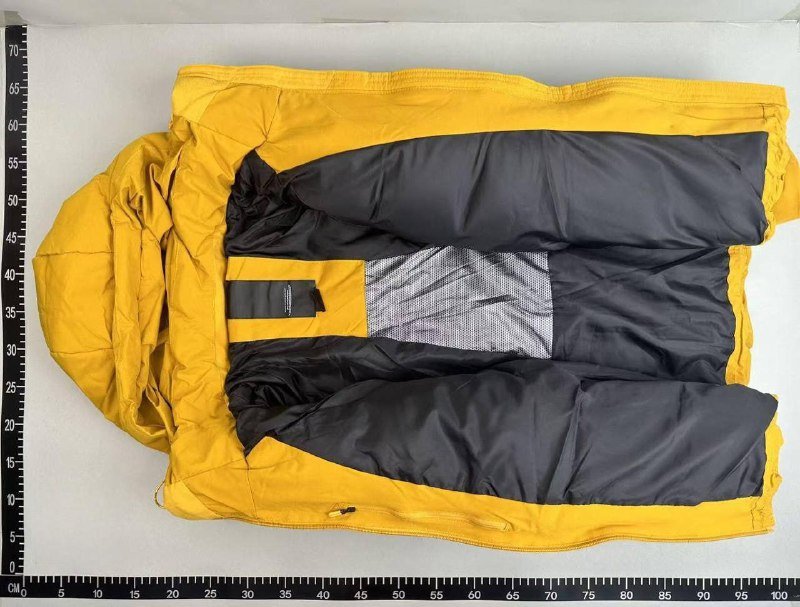 Descente Puffer
