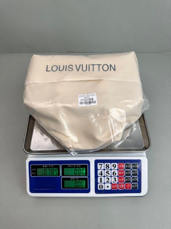 LV Bag
