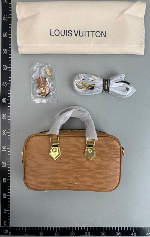 LV Bag