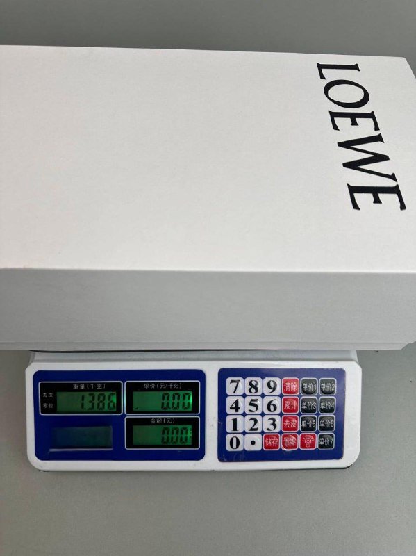 Loewe shoes