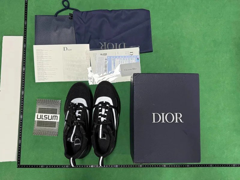 Dior B22