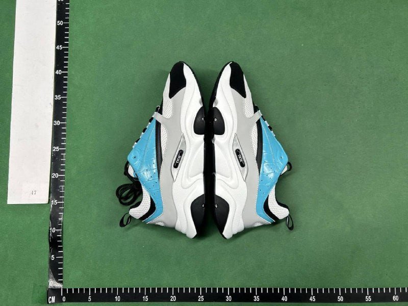 Dior B22+B30 (40 style)