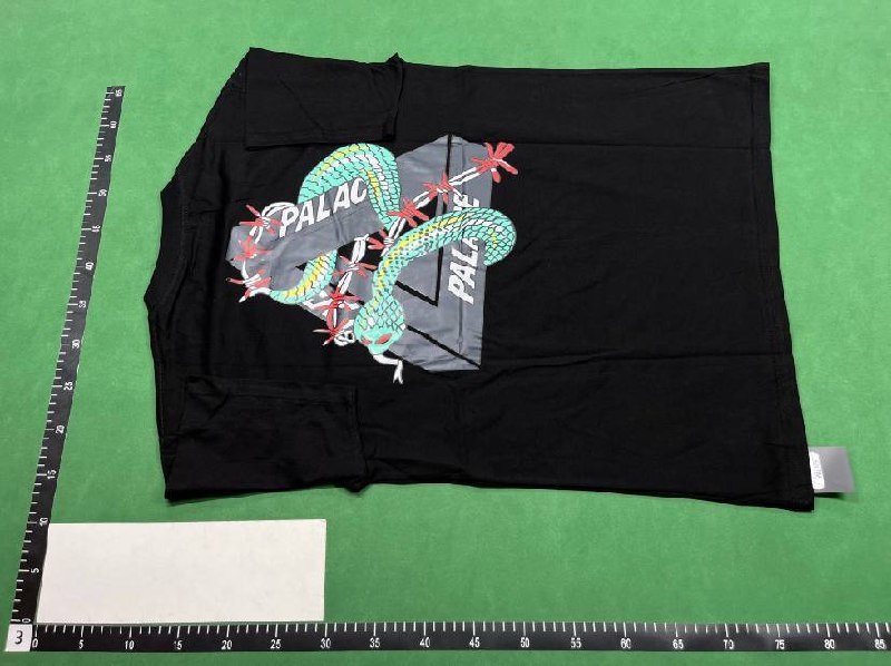 palace T-shirt (40 CP)