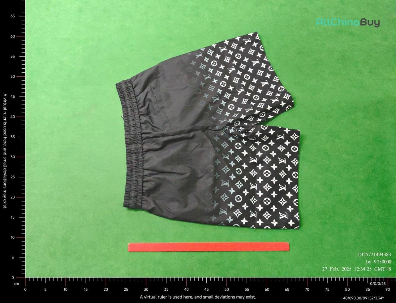 LV Shorts Beach Pants
