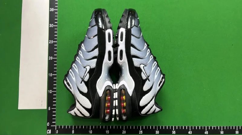 Nike Air Cushion shoes