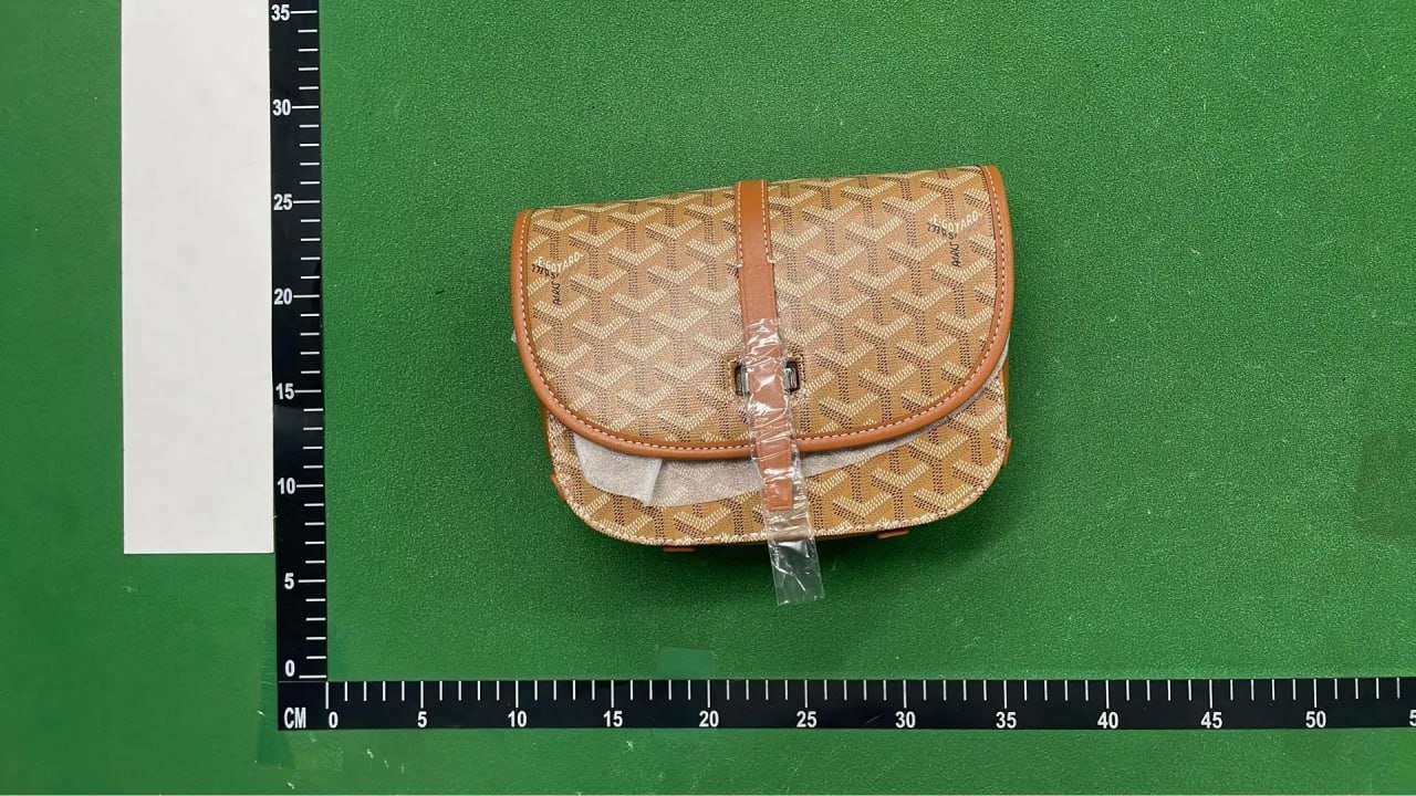 Goyard Saint Louis PM Shoulder Bag