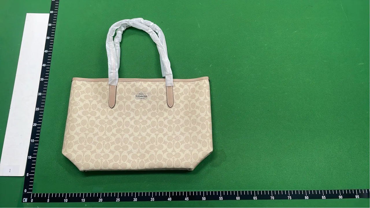 Coach, Fendi, Louis Vuitton, Gucci, Prada Bags [40+ styles]