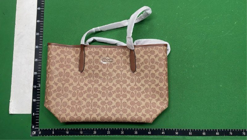 Coach, Fendi, Louis Vuitton, Gucci, Prada Bags [40+ styles]