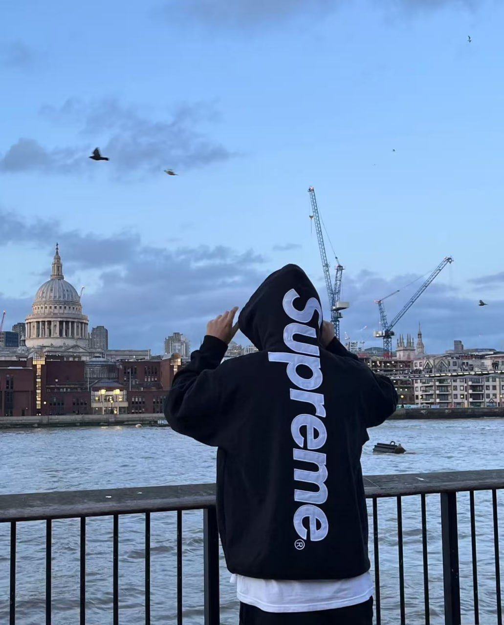 Supreme Box Logo Hoodie / Sup Hoodie [Multiple Colors & Styles]