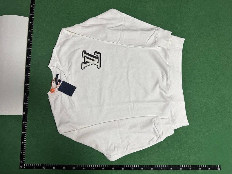 Louis Vuitton sweatshirt (36 CP)