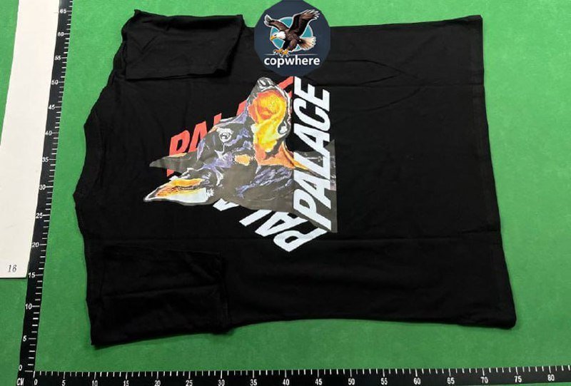 Palace Arc'teryx T-Shirt [26 styles]