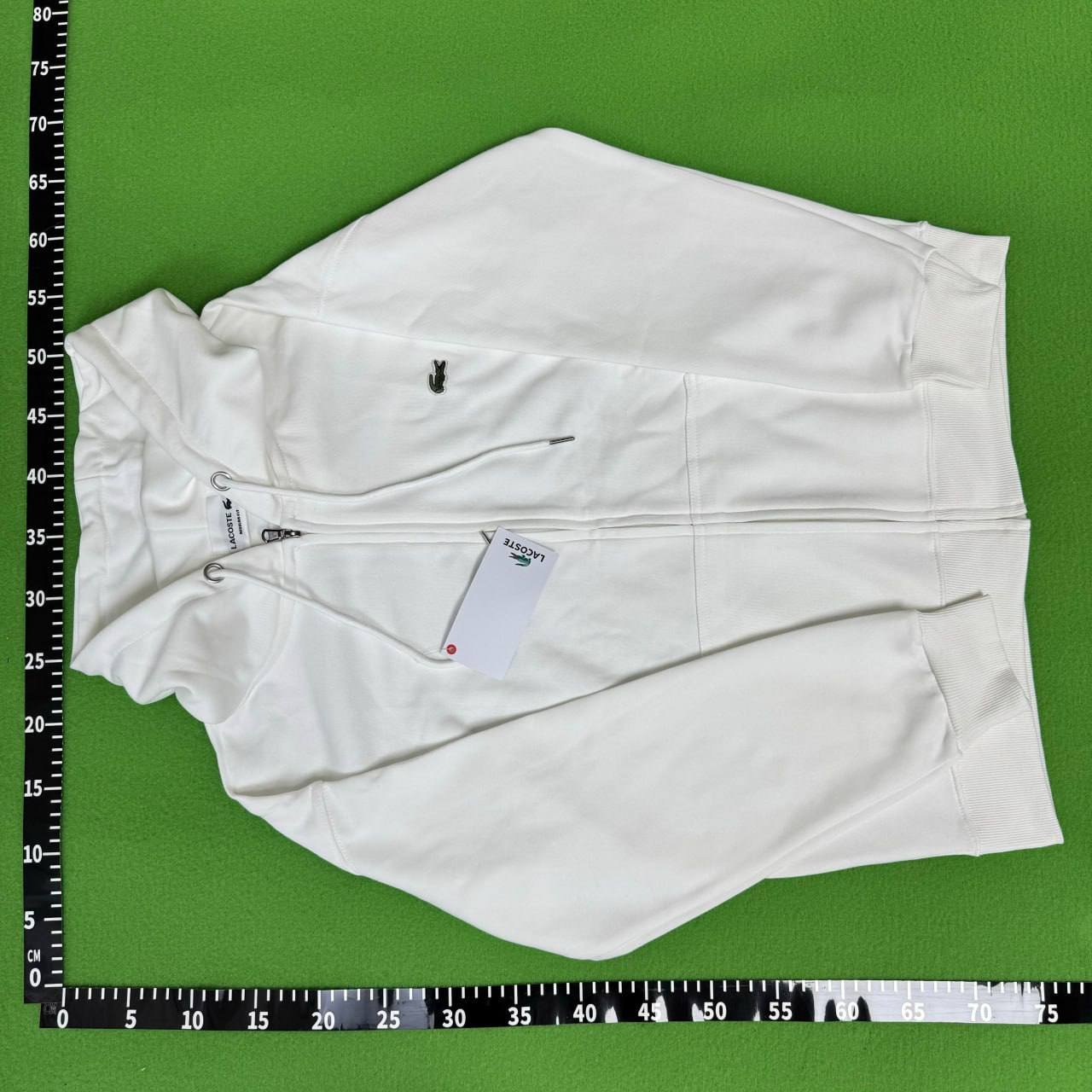 LACOSTE Crocodile Graphic Sweatshirt [40 styles]
