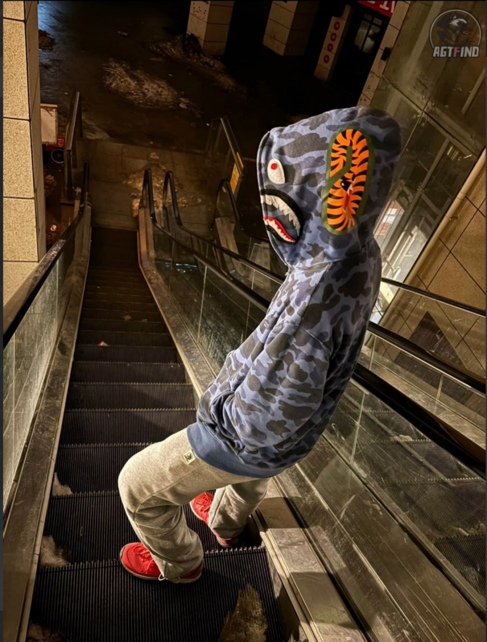 A BATHING APE ABC Camo Hoodie [7 styles]