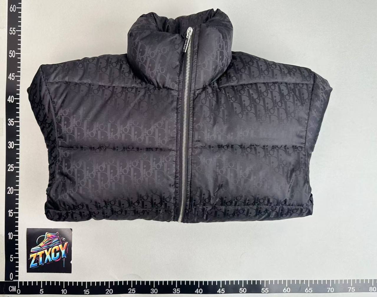 Dior Oblique Down Jacket [3 styles]