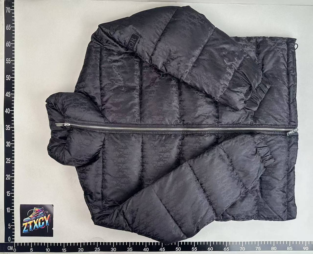 Dior Oblique Down Jacket [3 styles]
