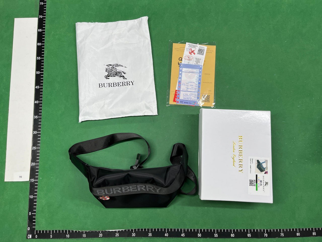 Dior Oblique / LV Monogram / Gucci GG Supreme / Burberry Check Backpacks [24 styles]