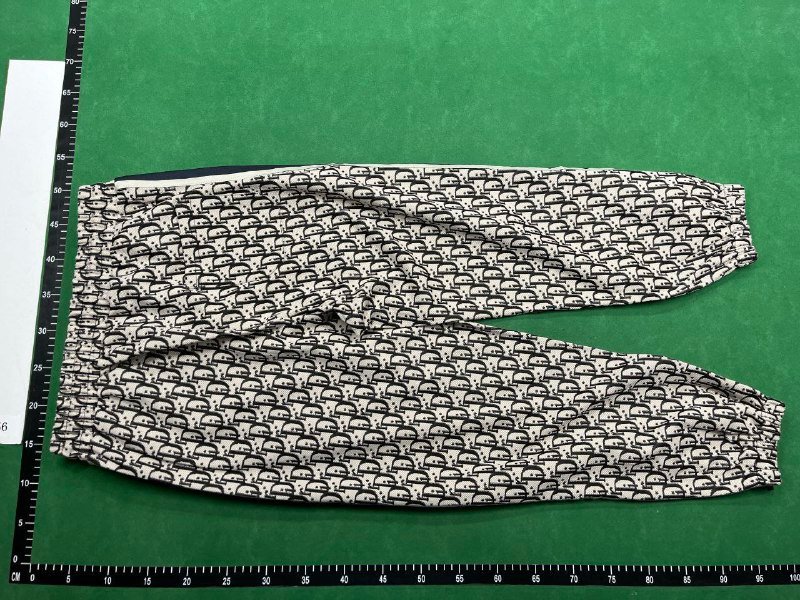 Dior Oblique Pants [8 styles]