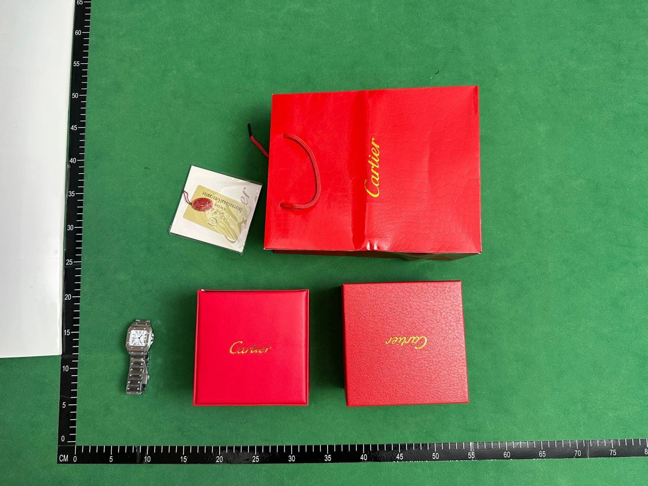 Cartier Santos and Ballon Bleu Watches [40 styles]