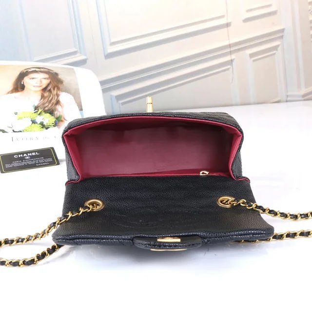 Chanel Classic Flap Bag [1 style]