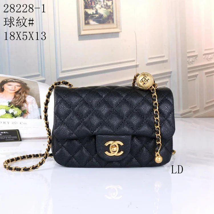 Chanel Classic Flap Bag [1 style]