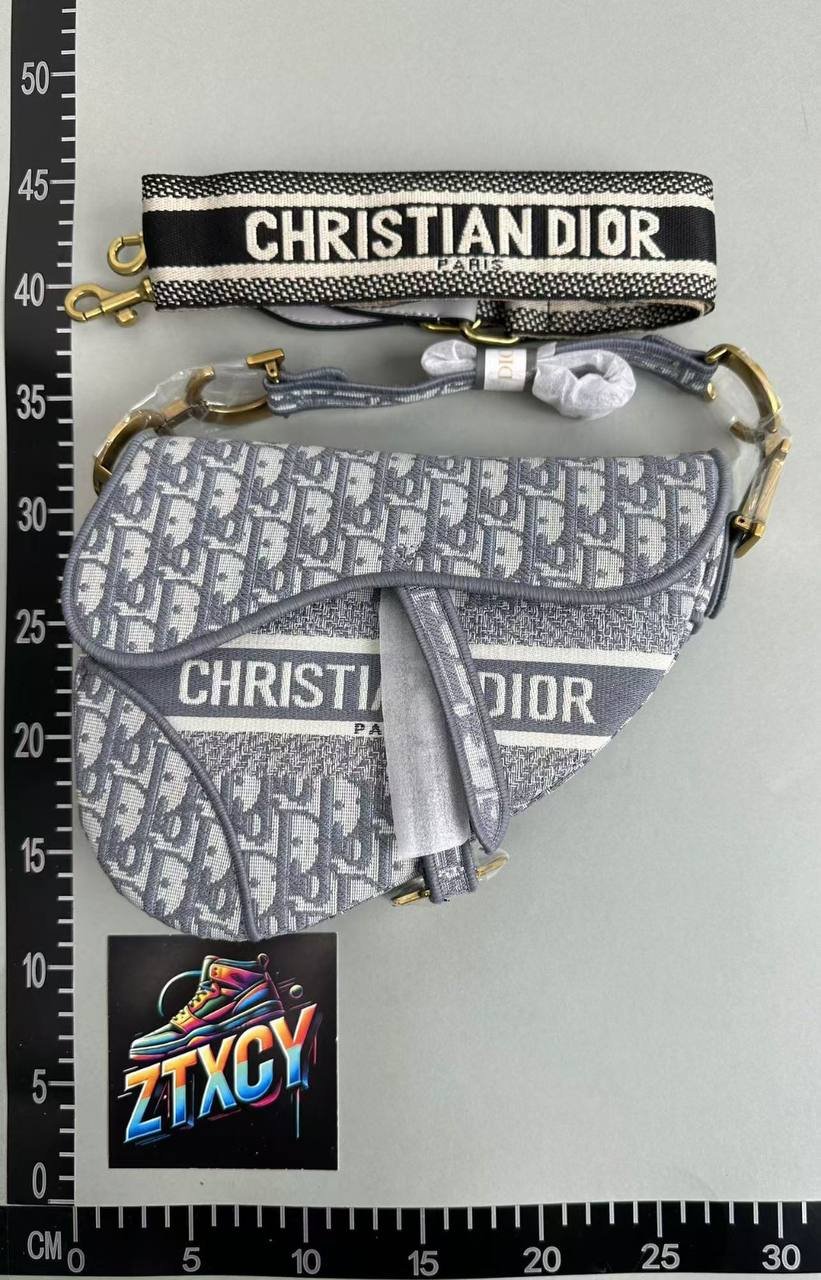 Dior Saddle Bag [7 styles]