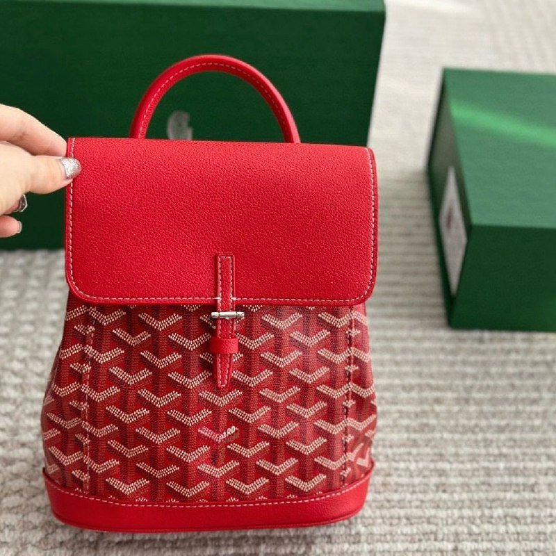 Goyard Saint Louis Backpack & Handbags [38 styles]