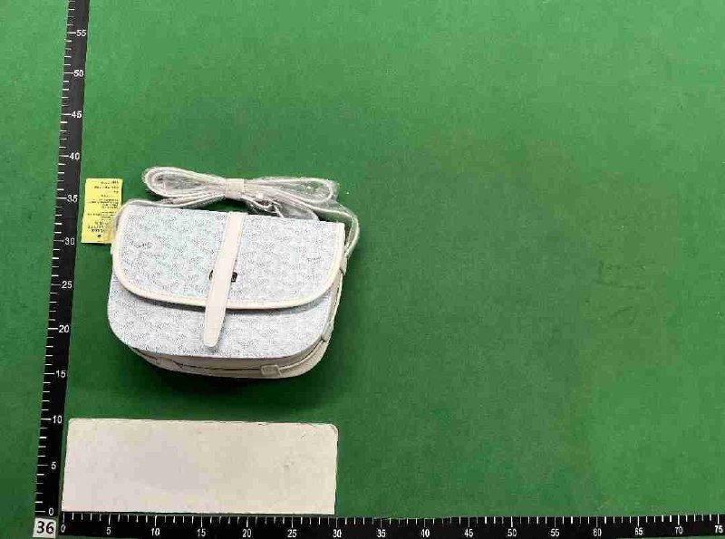 Goyard Saint Louis Backpack & Handbags [38 styles]