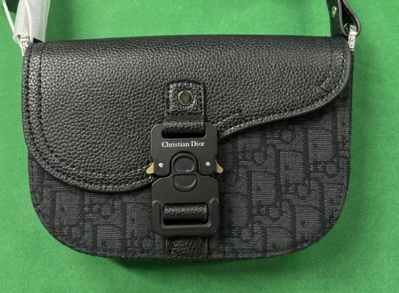 Dior Saddle Bag [40 styles]