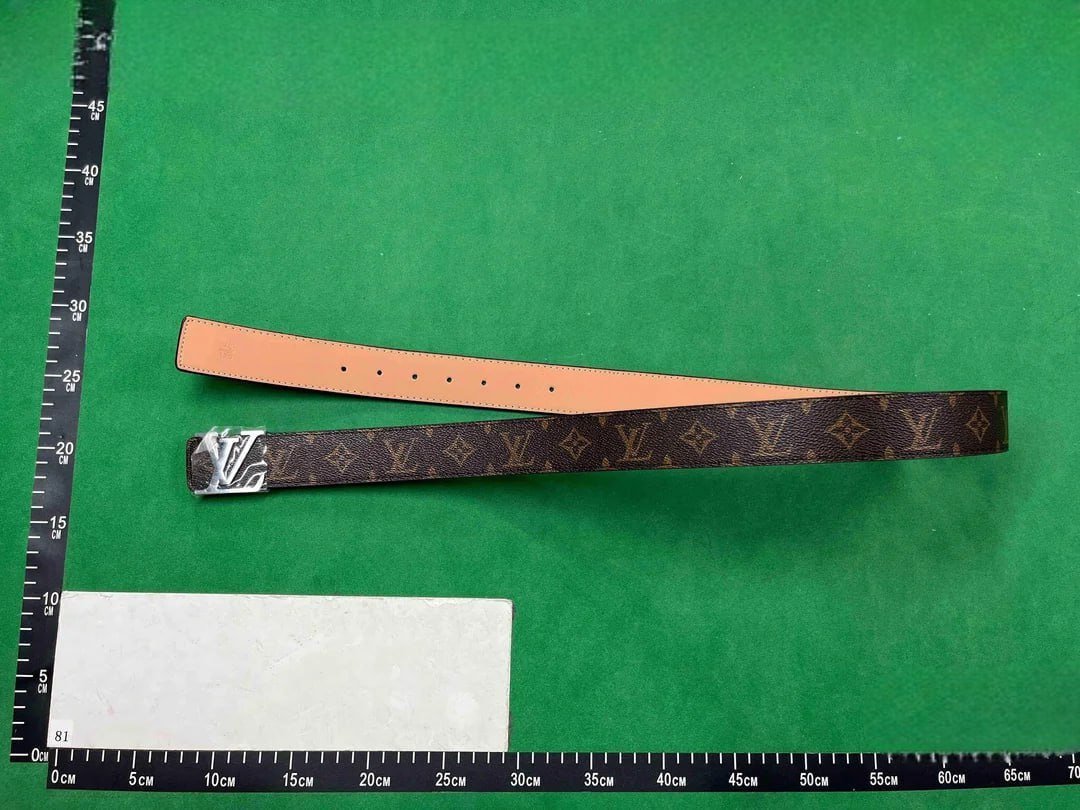 Louis Vuitton Damier Ebene Belt [12 styles]
